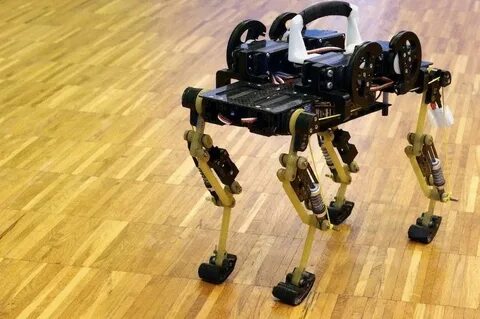 Migo robotics