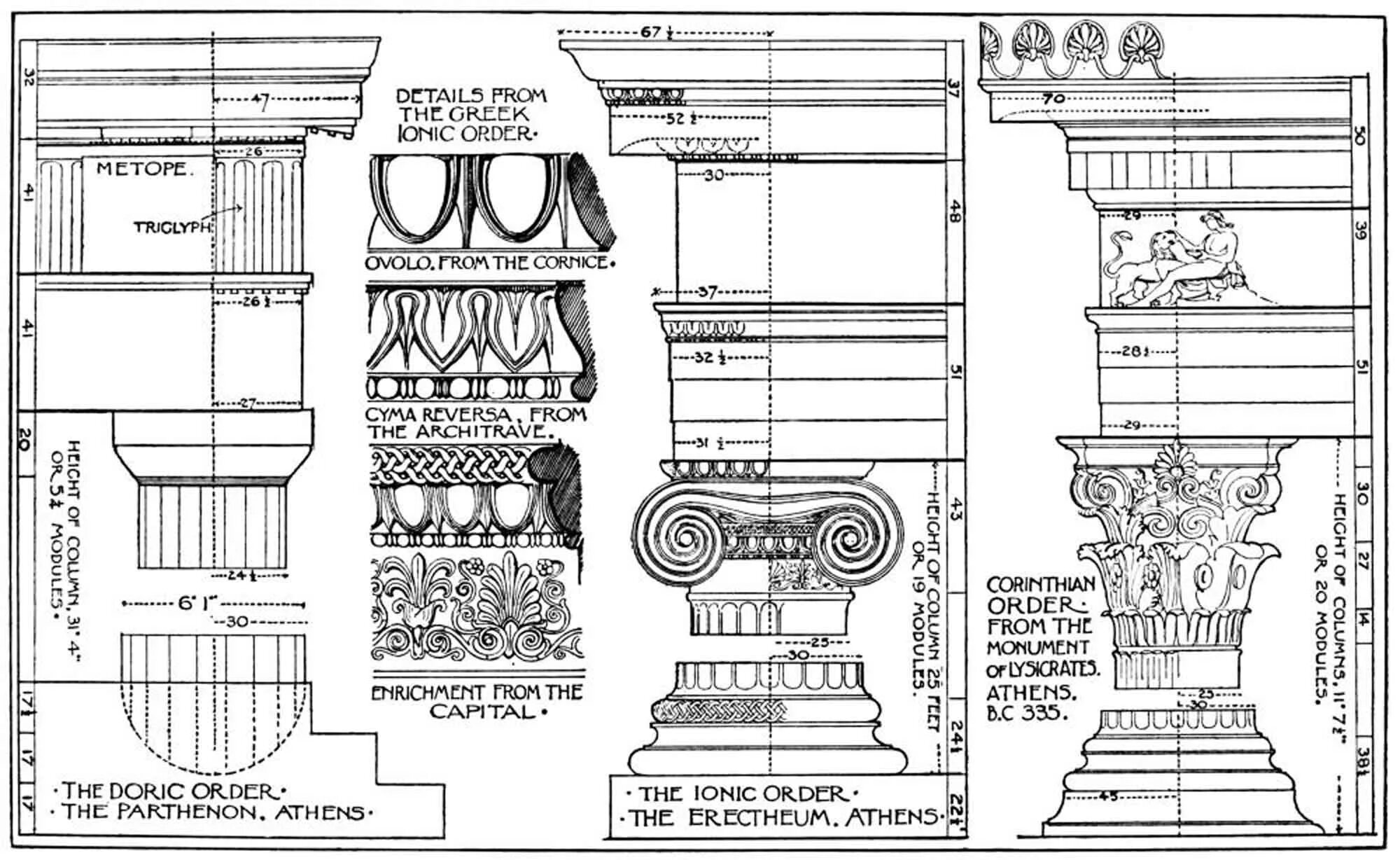 Дорический ионический Коринфский Тосканский и композитный ордера. Акант Коринфский ордер. Ионик Коринфский ордер. Римско-дорический ордер.