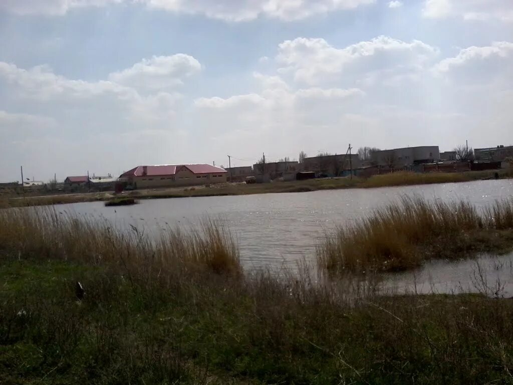 река карповка волгоградская область. котельниково река. какая река в котельниково волгоградской области. аксай курмоярский река. волгоградская обл котельниково.