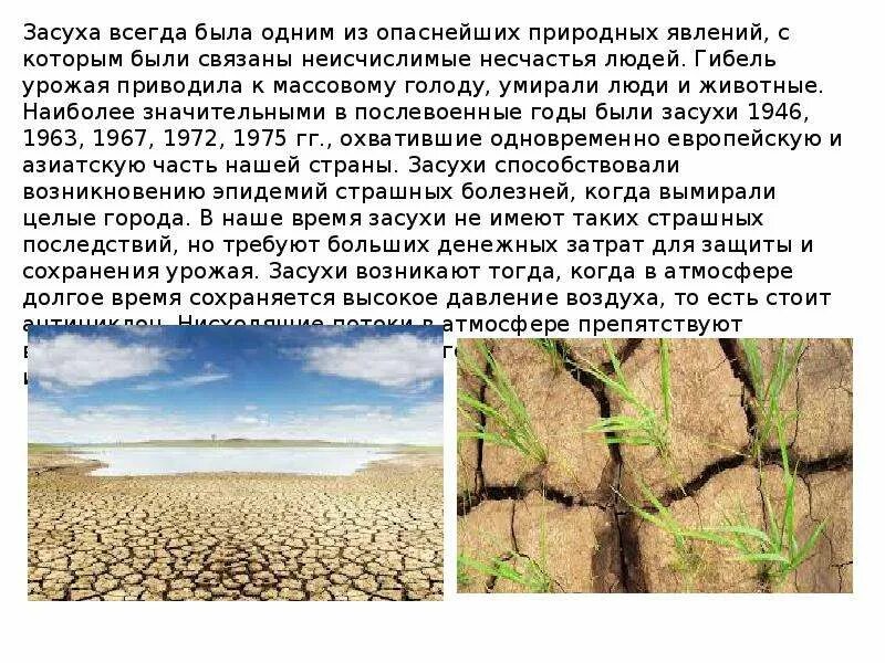 В виду длительной засухи мы часто. Сообщение о засухе. Причины возникновения засухи. Засуха явление. Засуха доклад.