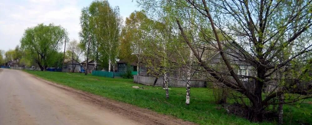 Покровский женский монастырь, Шаморга (Шацкий район), фотография. общий вид в ла