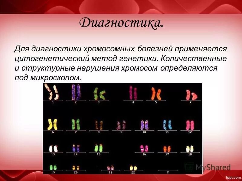 5 заболеваний хромосом