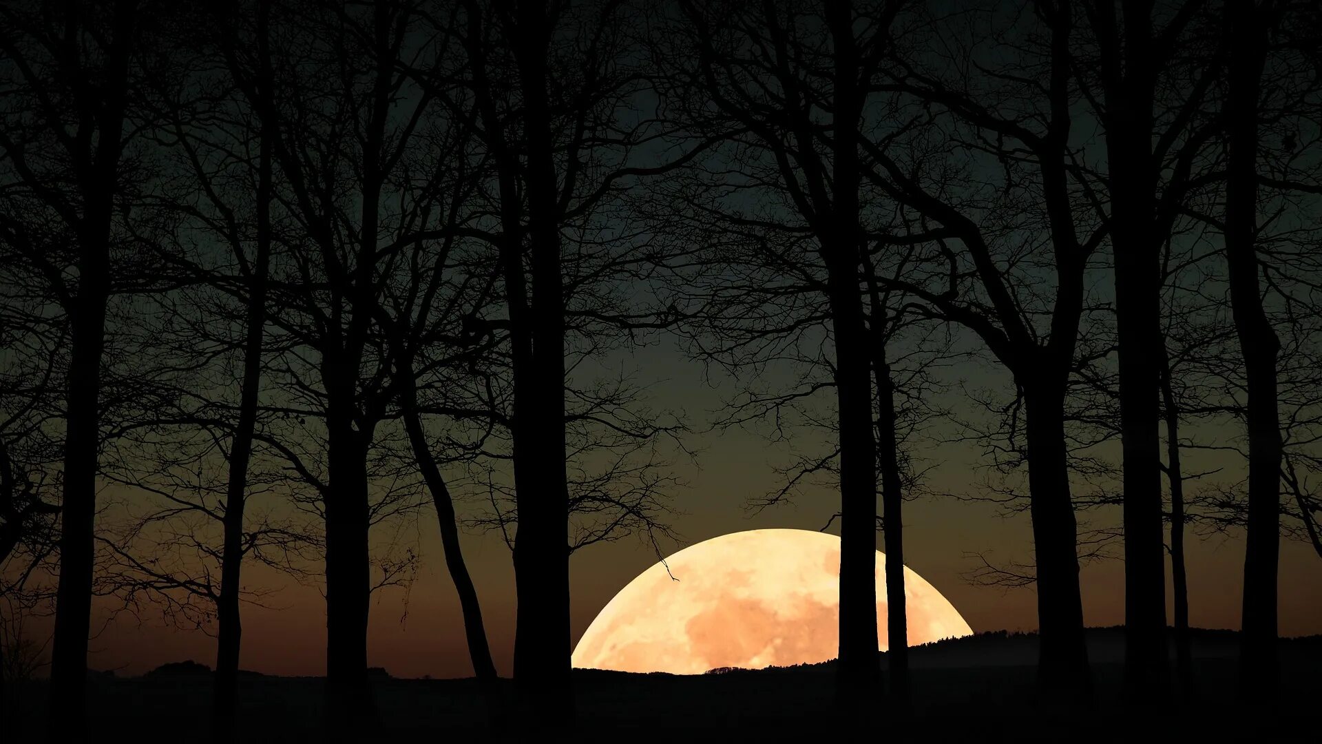 Восход Луны. Луна на рассвете. Луна восходит. Фото Луны.