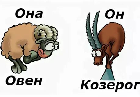 Совместимость овна и козерога в любви отношениях