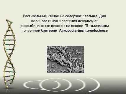 Методы переноса генов в клетки