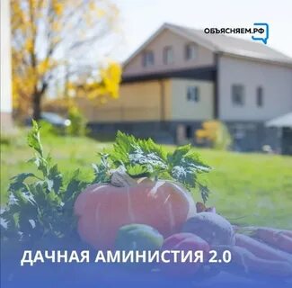 Амнистия 2