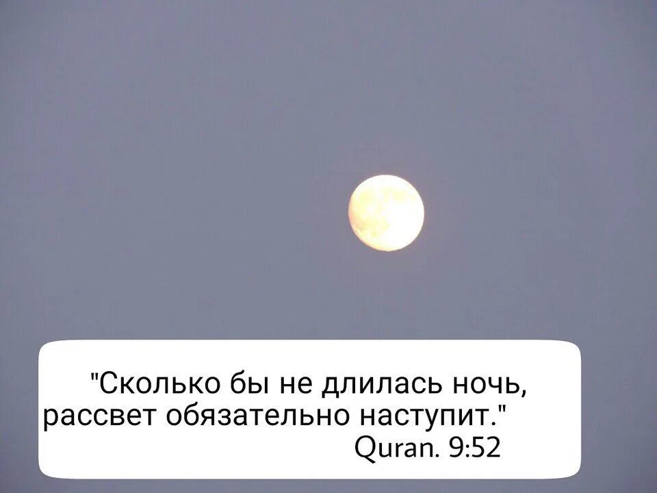 После темной ночи наступает рассвет. За самой темной ночью приходит рассвет. После ночи наступает Расцвет. Рассвет после ночи. Отзывы едите ночью