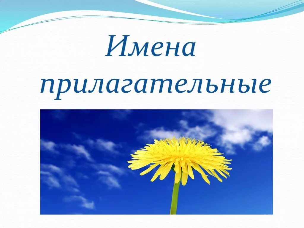 Имя прилагательное надпись. Прилагательные картинки для презентации. Что та какое имя прилагательное. Имя прилагательное. Имя прилагательное картинки.
