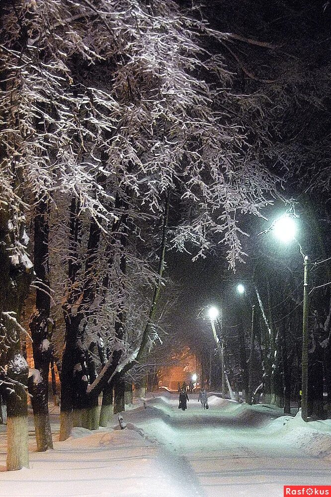 Зимнее утро. Зимний утренний пейзаж. Утро зима. Зима рано утром. Зима рано утром.