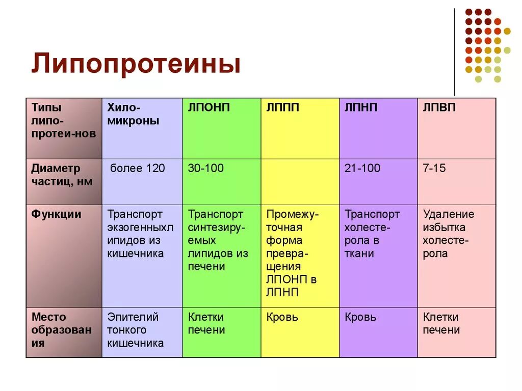 Лпнп повышен у женщин после 40. Липопротеиды плазмы крови классификация. Липопротеины плазмы крови функции. Классификация липопротеинов плазмы крови биохимия. Строение липопротеидов биохимия.