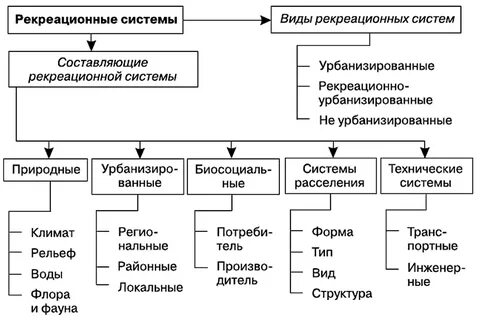Виды тур деятельности