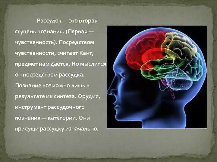 Рассудок и разум. Рассудок это в философии. Ум разум рассудок. Различие разума и рассудка.