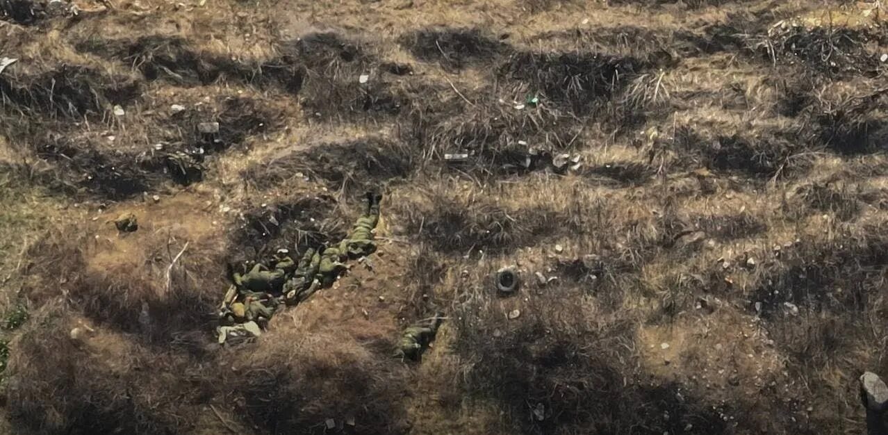 Мертвое поле александр невский. Павшие рыцари. Могилы солдат погибших на украине всу. Поле поиска. Куликово поле картина.