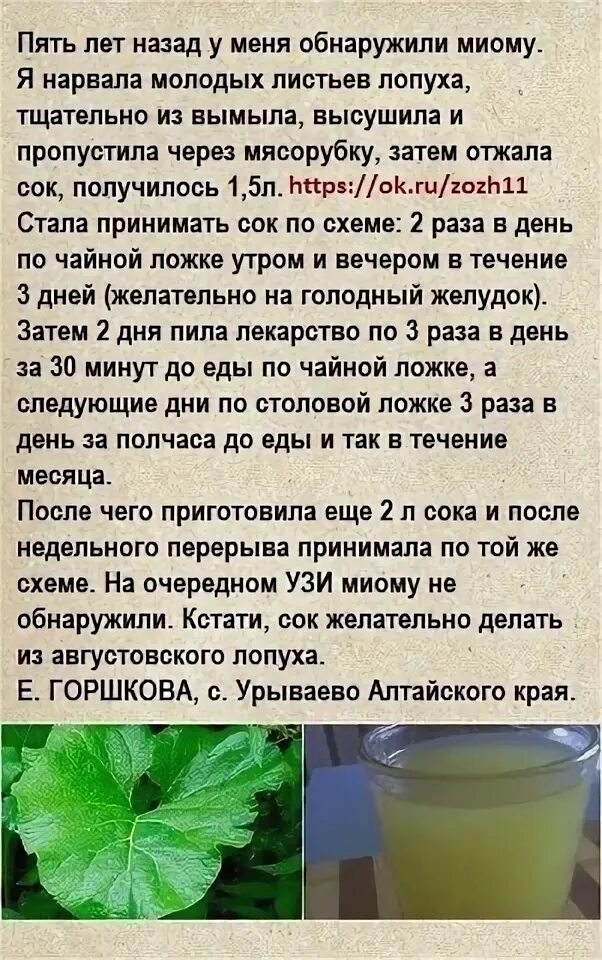 Сок лопуха 250 мл. Сок листьев лопуха, 100 мл. Сок лопуха (100 мл). Сок лопуха 250 мл. Сок лопуха при миоме.