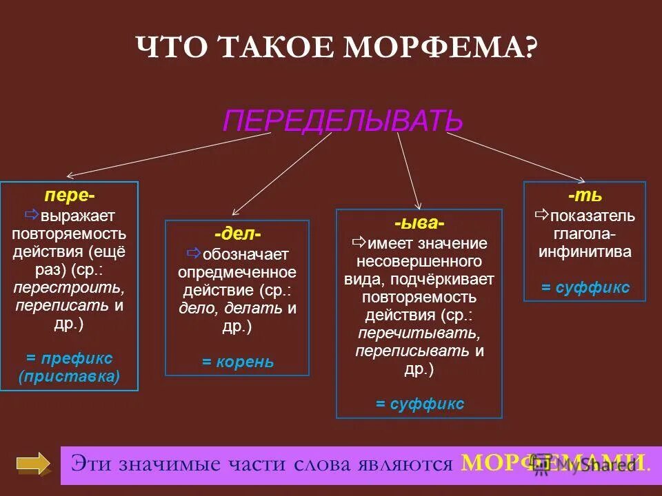 Морфема перед корнем