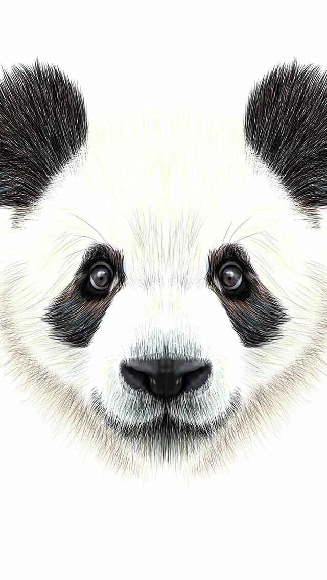 Морда панды. Маска panda happy baby. панда минт. маска панды.