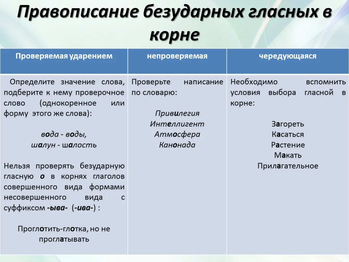 Безударная гласная в корне слова типы