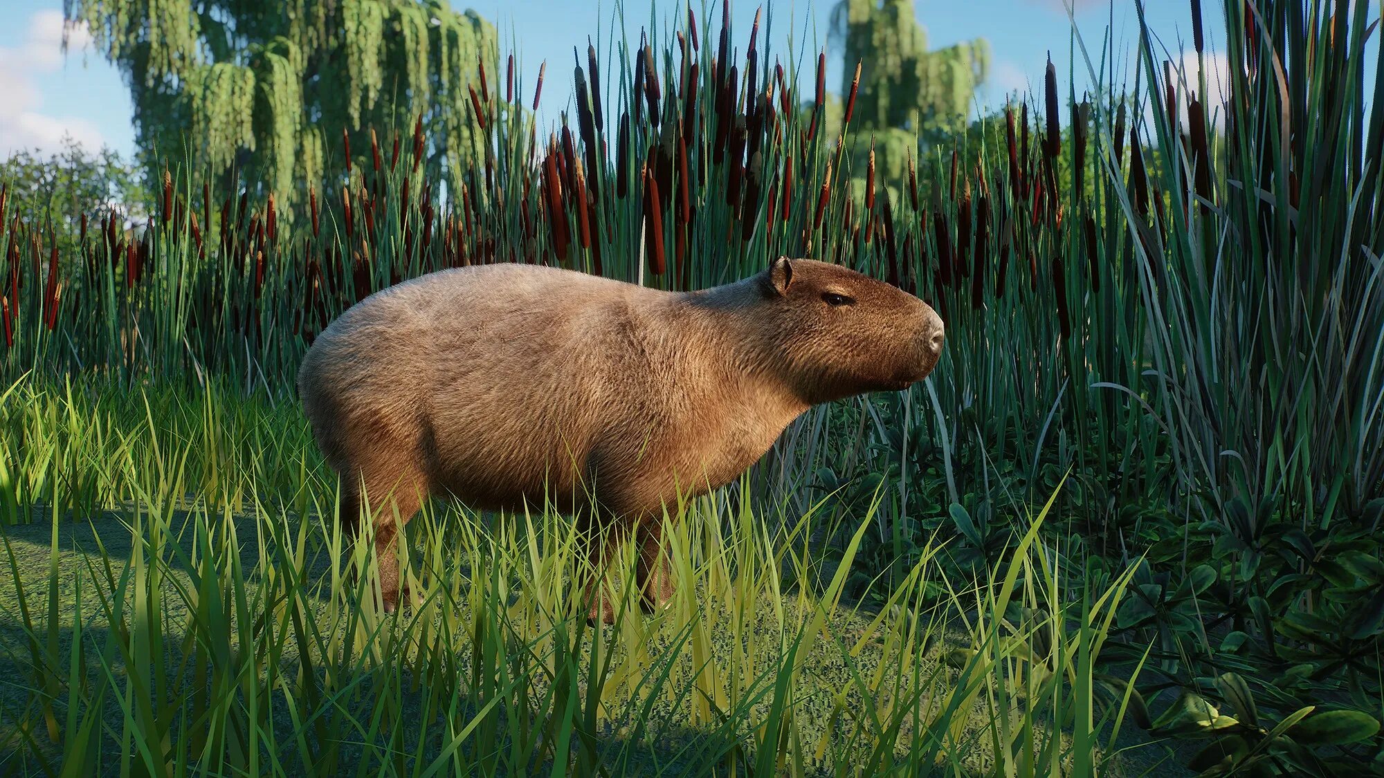 Гонки на капибарах настольная игра. Капибара. Planet Zoo капибара. Энканто капибара. Симулятор капибары.