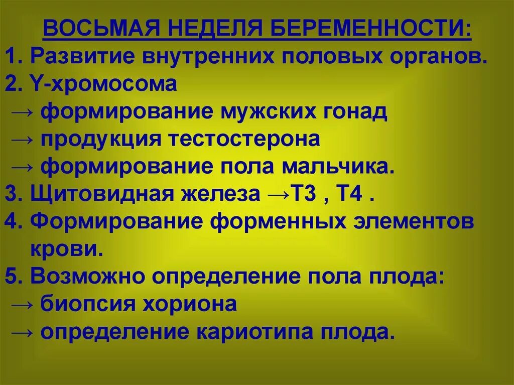 Формирование гонад. Формирование мужской гонады. Принцип формирования гонад. Этапы гонадогенез.