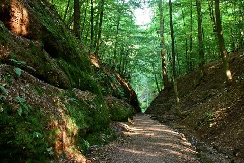 Naturpark Thüringer Wald Drachenschlucht Eisenach.jpg. w:en:Creative Common...