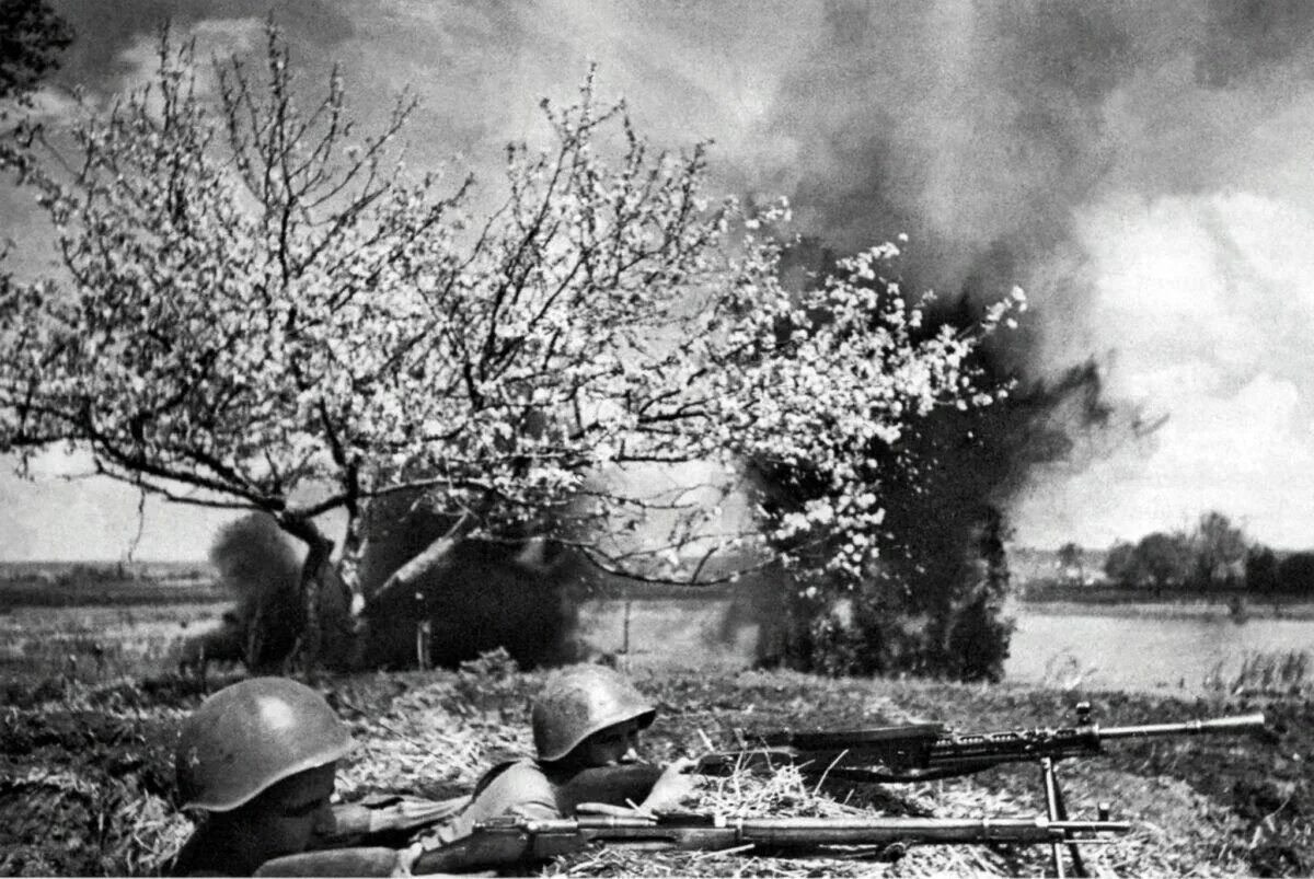 Фото Великой Отечественной войны 1941-1945. Картинки про великую отечественную