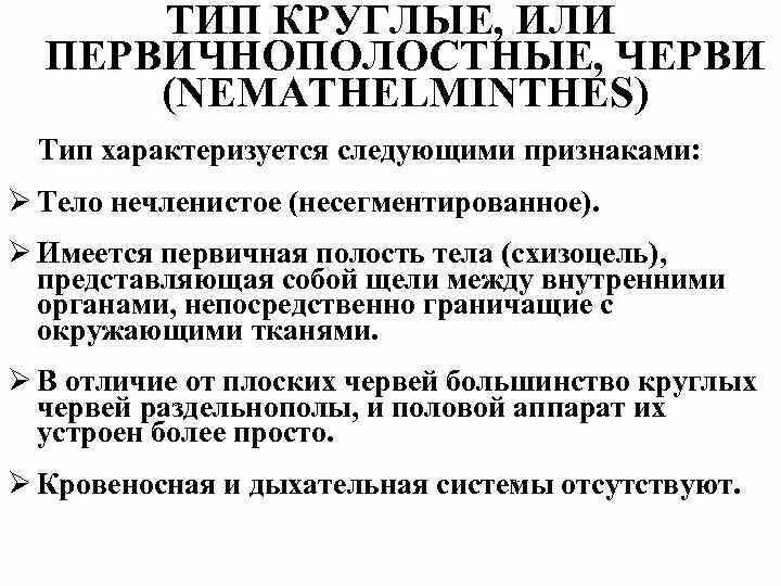 Дайте характеристику типа круглые черви. Тип круглые черви (или Первичнополостные). Первичнополостные черви пищеварительная система. Общая характеристика Первичнополостные черви. Тип Первичнополостные черви общая характеристика.