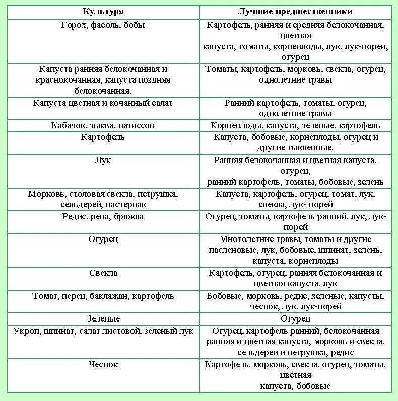 Посадка овощей предшественники таблица. Лучшие предшественники для посадки овощей таблица. Таблица севооборота овощных культур на огороде предшественники. Предшественники овощных культур при посадке таблица.