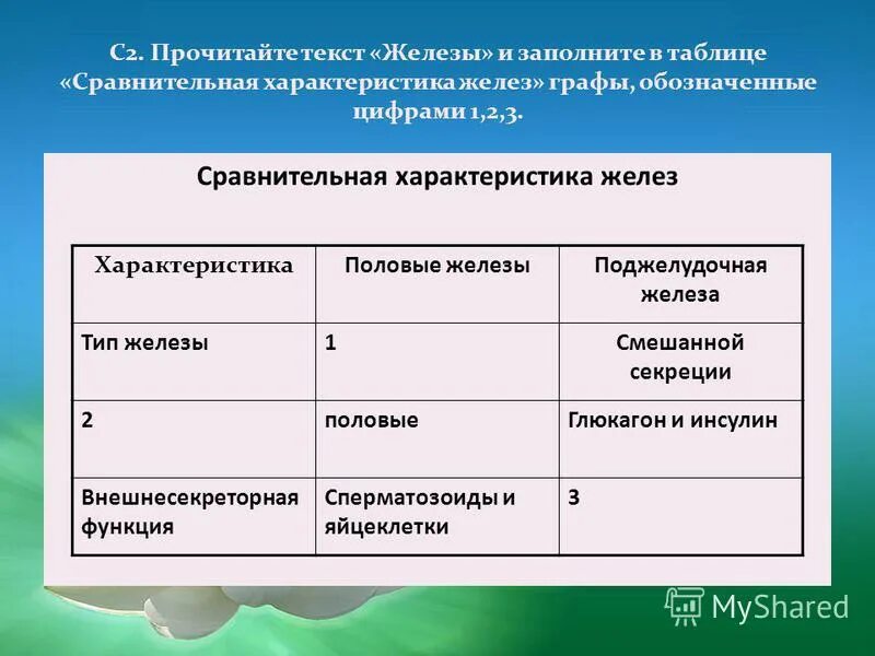 железы внутренней секреции внешней и смешанной секреции. железы внутренней секреции и внешней секреции и смешанной секреции. установите соответствие между железами и их типами. железы внутренней секреции гипофиз и гипофизнезависимые железы. соответствие между гормоном и железой.