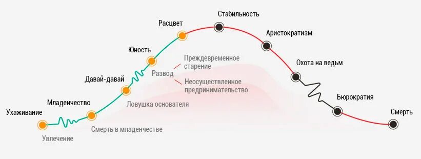 этапы жизненного цикла. ицхак адизес стадии жизненного цикла организации. адизес жизненный цикл организации. жизненный цикл компании адизеса. жизненный цикл организации тест.