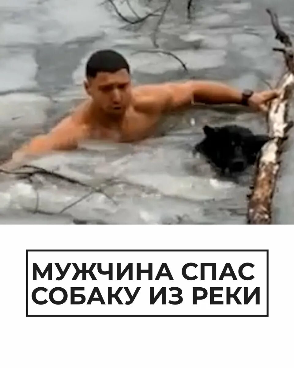 Мужчина спас собаку. Мужчина спас собаку из ледяной воды. Спасение собаки из воды.