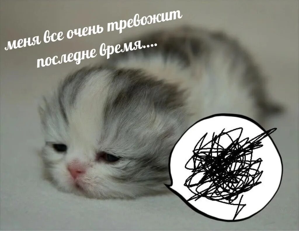 Подрастает поколение Z! - DRIVE2