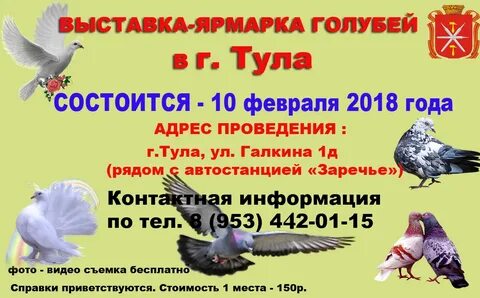 Выставка голубей в туле 2024 году
