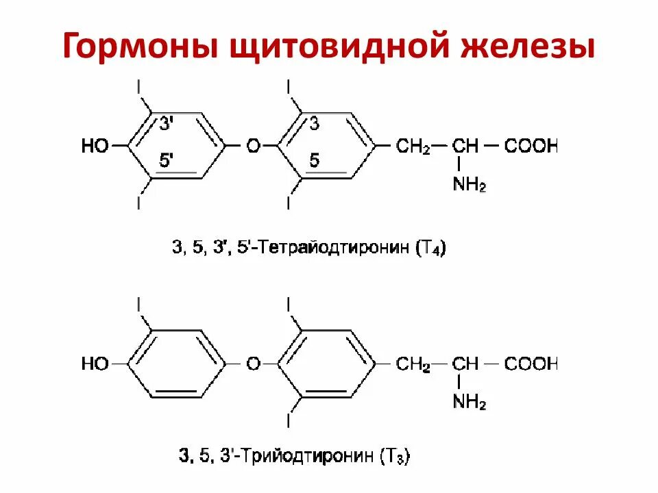 ТТГ формула структурная. Тиреотропин формула структурная. Тиреотропный гормон формула. Тиреотропный гормон химическая формула.