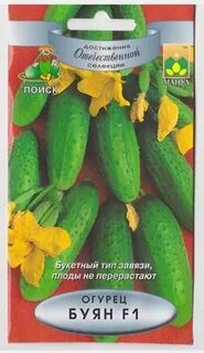 Сорта огурцов буян