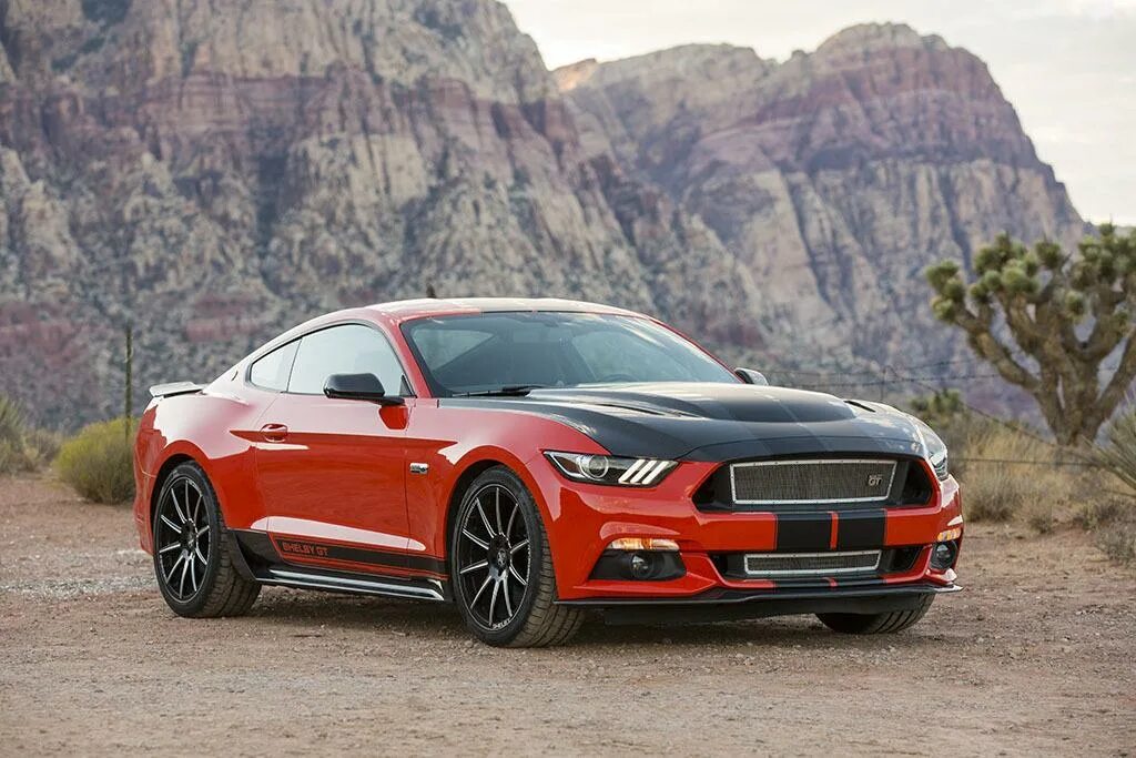 Gt performance. Форд Мустанг ГТ. Ford Mustang gt новый. Ford Mustang Shelby 2015. Форд Мустанг Джи ти 2015.