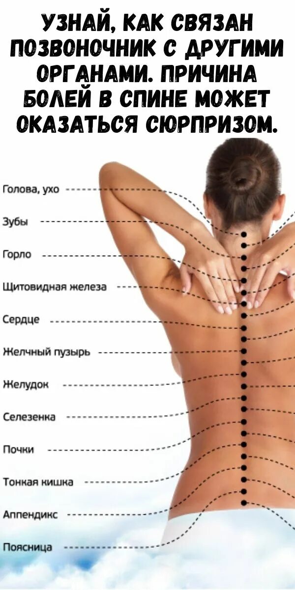 Резкая боль справа спины. Боли в спине причины. Болит поясница с правой стороны. Причины ломоты в позвоночнике.