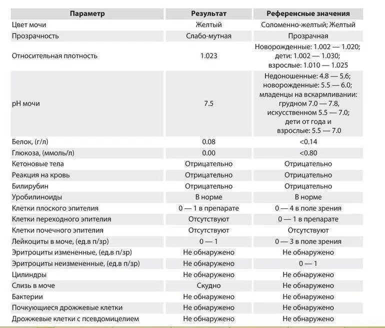 Анализ мочи у мужчин лейкоциты. Норма эритроцитов в моче в 1 мл. Эритроциты в моче (+2) мкл. Эритроциты в моче клеток/мкл норма. Эритроциты в моче норма кл/мкл.