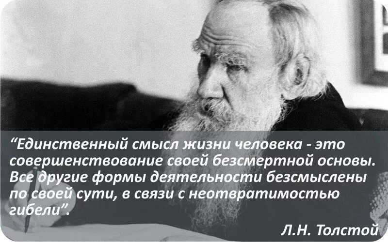 Смысл жизни человека в обществе. О смысле жизни. смысл жизни человека. высказывание о самореализации и смысле жизни. цитаты великих.