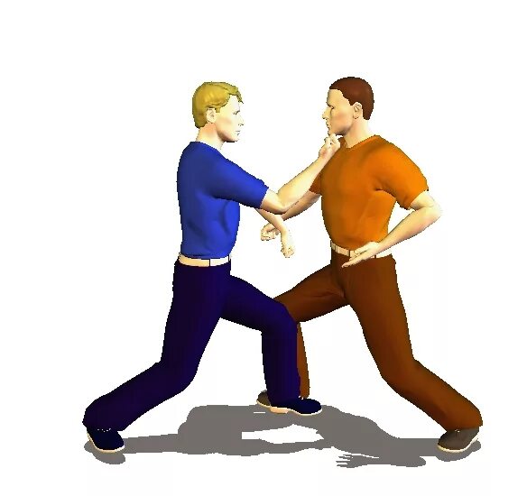 Рю стрит файтер 2. The fight ps3. Самооборона для женщин. Wwe raw 1993. Мексиканец реслинг.