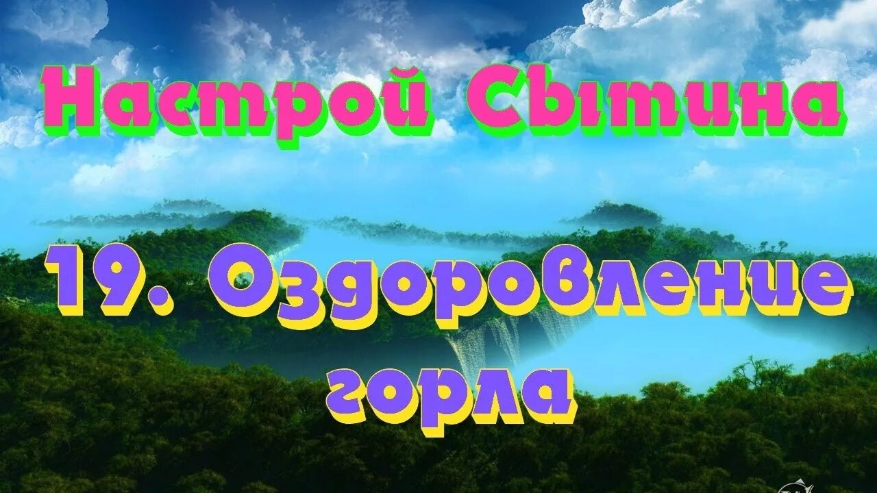 Настрои сытина на оздоровление мужчин. Настрой на выздоровление. Настрои Сытина иммунитет. Настрои Сытина на оздоровление от вирусов и инфекций. Сытин система дыхания.