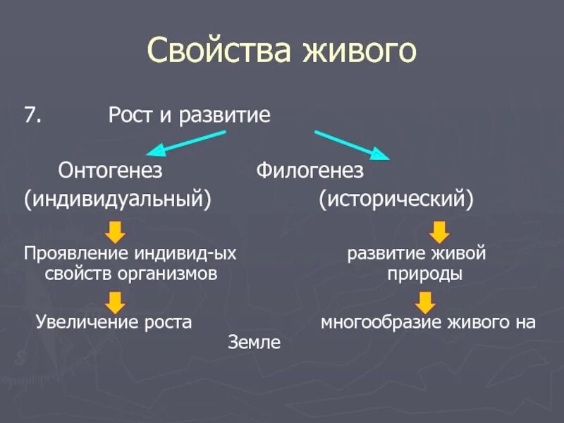 Развитие свойство живого. Свойства живого рост и развитие. Развитие свойство живых организмов. Рост свойство живого.