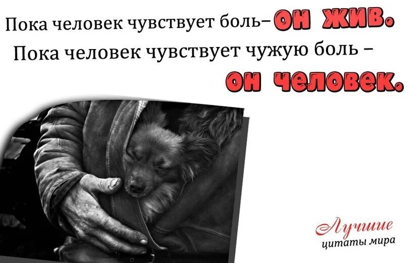 Пока еще мы что то чувствуем. Пока человек чувствует чужую боль. Чужая боль цитаты. Пока человек чувствует.