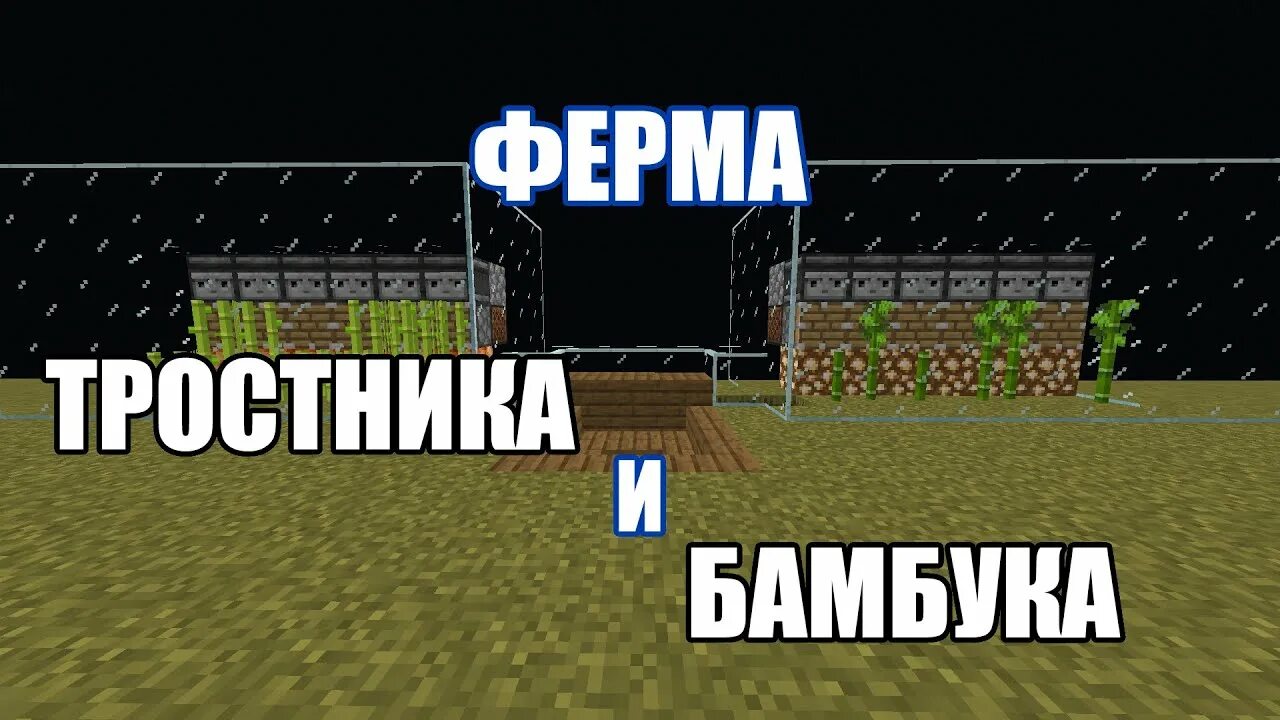 Ферма тростника 1.16. Автоматическая ферма тростника 1.12.2. АФК ферма тростника. Ферма тростника 1.16.5. Автоферма тростника майнкрафт 1.16.5.