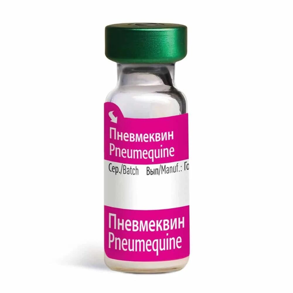 Пневмеквин для лошадей. Ринопневмония лошадей вакцина. Вакцинация лошадей против ринопневмонии. Вакцина против ринопневмонии лошадей. Инактивированная вакцина против ринопневмонии лошадей.