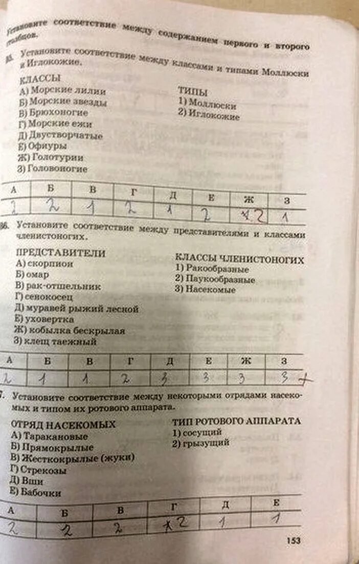 Тест по биологии 7 класс моллюски. Тест по биологии 7 класс Тип моллюски. Тест по биологии 7 класс Членистоногие. Тесты по биологии 7 класс латюшин.