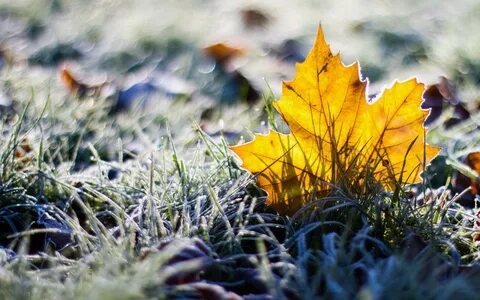 Сентябрь похолодание
