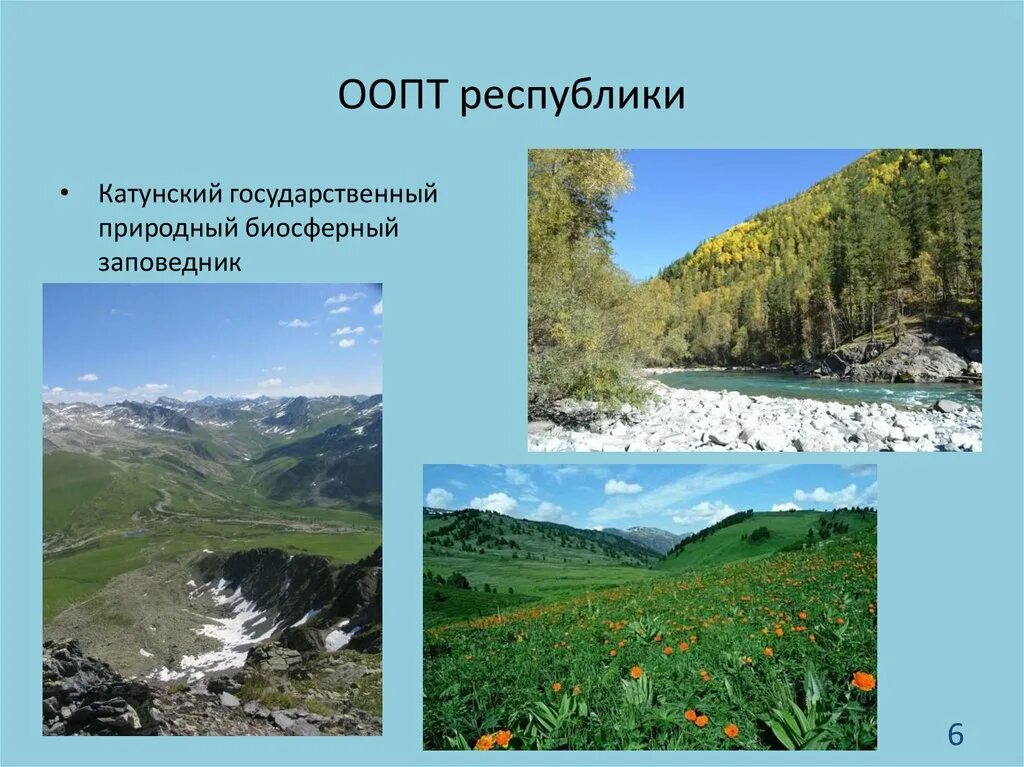 Басеги заповедник пермский край. Охраняемые территории горных районов. Саяны парк ергаки. Алтайский природный биосферный заповедник. Пиренеи (национальный парк).