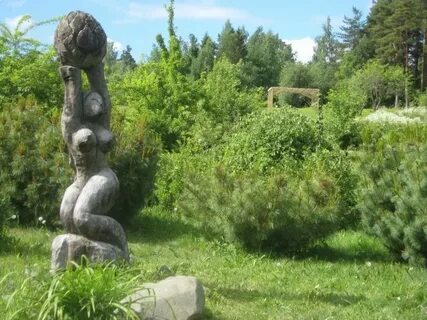 Ботанический сад петрозаводск