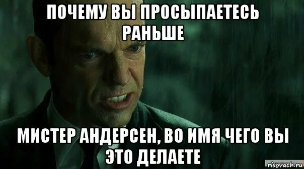Почему я так рано встаю. Проснулся среди ночи. У меня выходной. Филосораптор мемы. Зачем.