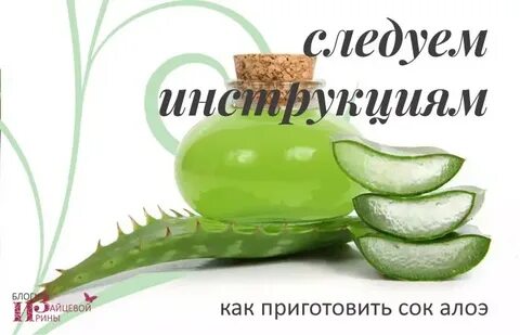 Алоэ для желудка